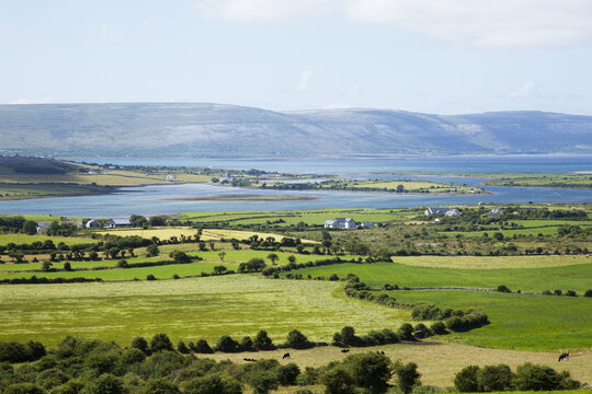 Looking Into The Burren Near Bell Harbour; County Clare, Ireland