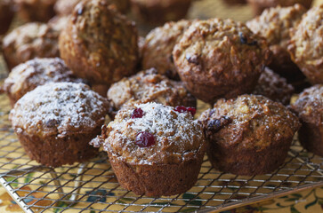 Homemade Oatmeal, Cranberry And Coconut Muffins; Duncan, British Columbia, Canada