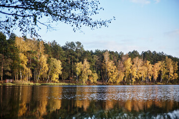 Autumn forest lake. Reflection of autumn lake water.