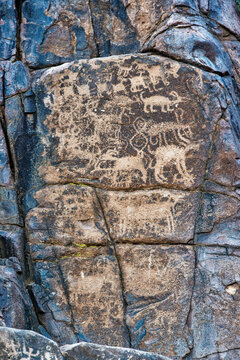 Prehistoric Rock Art, Superstition Mountains, Tonto National Forest; Arizona, United States Of America