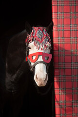 Christmas biker horse with red glasses head shot