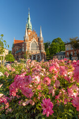 Fototapety na wymiar - Fototapeta24.pl