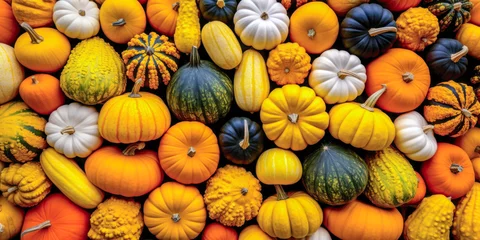 Fotobehang Assorted fall gourds and squashes flat lay, wide banner, background, Thanksgiving © Sunshower Shots