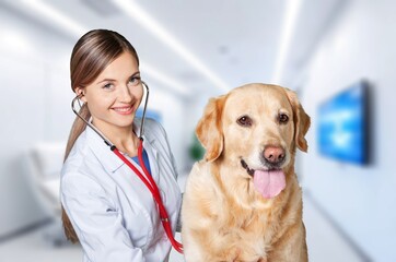 Veterinarian examining young cute dog in clinic