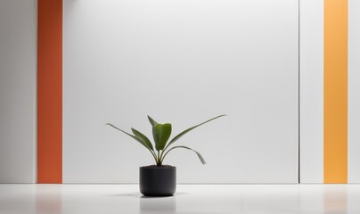 Photo of a potted indoor plant standing on a wooden table top on a white background