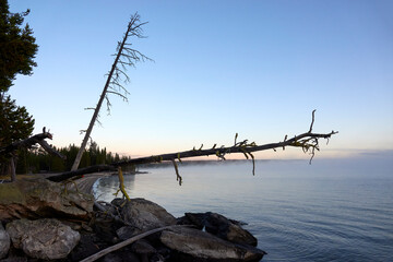 Early Morning, Lake, Yellowstone National Park Beauty of Nature in the USA, World Heritage
