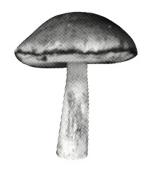 mushroom isolated on transparent retro grunge halftone dotted texture vintage magazine style collage element for mixed media design