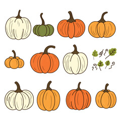 Pumpkin of various shapes and colors. Thanksgiving and Halloween Elements.