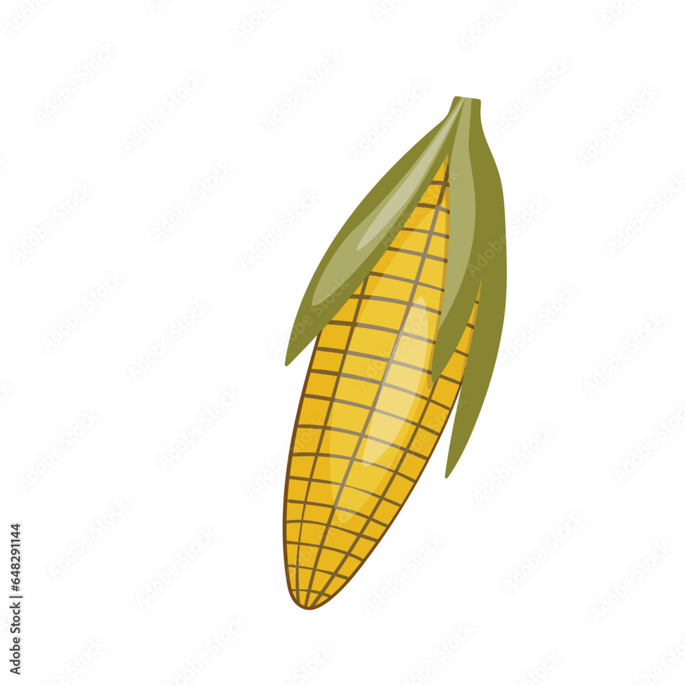 Wall mural sweet golden corn isolated on white background. summer farm design elements. natural fresh bright ta