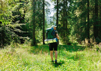 Naklejka na ściany i meble Unrecognizable man with backpack and trekking stick walking in green forest