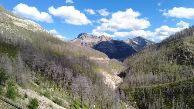 Vimy Peak and Mount Boswell, as viewed from the road to Cameron lake, along Cameron creek, Waterton Park, Alberta, Canada in Waterton Lakes National Park.