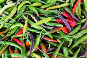 healthy food natural background fresh green red and purple peppers