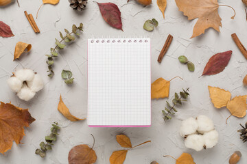 Autumn leaves with notebook on concrete background, top view