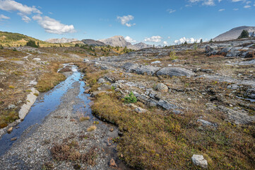 Fototapeta na wymiar A small stream in the high alpine of Sunshine Meadows in Banff National Park, Alberta, Canada