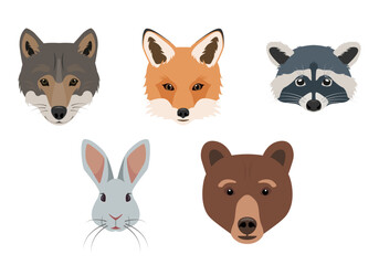Cute Forest animals faces front view. Wild woodland mammal animal head collection. Fox, wolf, hare, bear and raccoon face. Vector illustration isolated on white background.