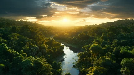 Deurstickers Nature background - a serene river flowing through a vibrant green forest © mattegg