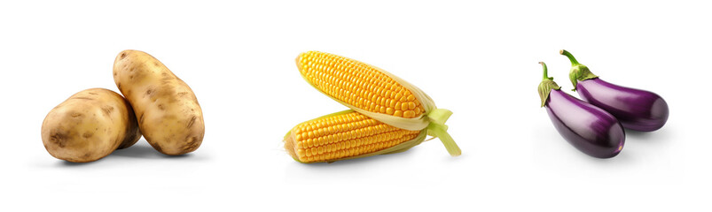collection of organic sweet corn, potato and eggplant vegetable isolated on transparent png background with shadows, for online menu shopping list ready for any background