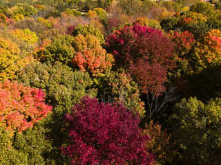 Vibrant Autumn Colors in Wisconsin USA