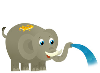 cartoon wild happy young elephant spilling water with other animal isolated illustration for children
