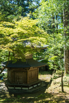 福井 夏のもみじに囲まれた永平寺の二重の塔