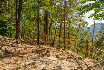 Hiking trail on the hill in Carpathian mountains, Ukraine