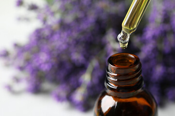 Dripping lavender essential oil from pipette into bottle against blurred background, closeup. Space...