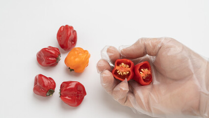 手袋をしてハバネロを持つ