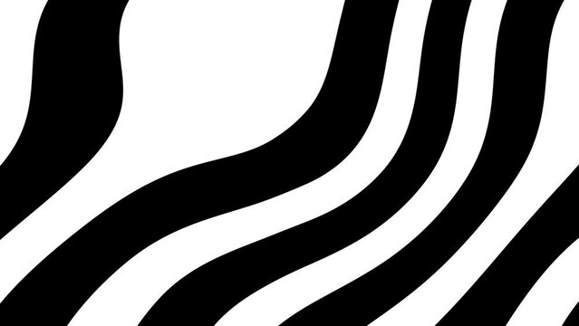 Shape flat seamless black white looped background. High quality 4k footage