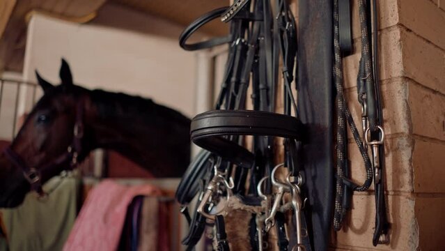stable with horses riding equipment bridles saddles capes for professional equestrian sports