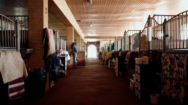 interior of stables with equipment and horses noble animals stallions professional equestrian sports