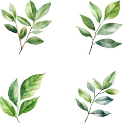 Set of watercolor green leaves branch elements, for Wedding Invitation, save the date, thank you, or greeting card 
