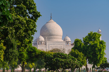 Fototapeta na wymiar Taj Mahal historical monument at Agra India with clear blue sky and sprawling garden. An example of Mughal Indian architecture built on the Yamuna river banks.