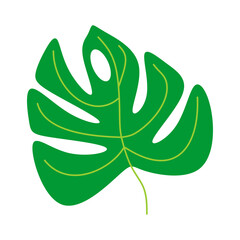 Green modern monstera leaf vector element