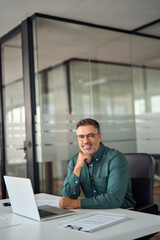 Smiling older business man of middle age, mature entrepreneur or bank manager, 50 years old executive, mid aged businessman investor, male lawyer sitting at work desk in office, vertical portrait.