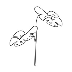 Organic leaf outline vector element