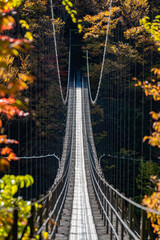 紅葉の畑薙大吊橋