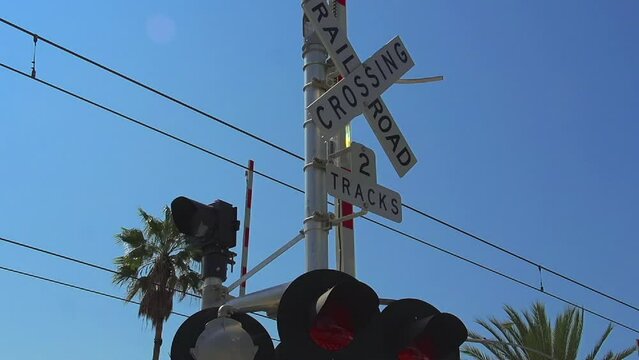 Railroad Crossing Sign Lights Palm Trees Day
