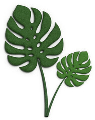 Monstera Leaf