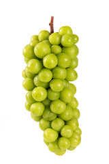 one bunch of fresh green shine muscat grape isolated on white background