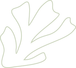 Algae plan aesthetic recolorable vector element