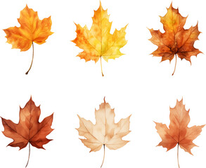 autumn leaves watercolor set, Set of autumn maple leaves
