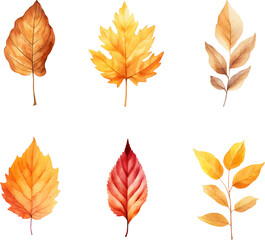 autumn leaves watercolor set, Set of autumn maple leaves