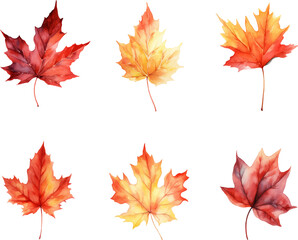 autumn leaves watercolor set, Set of autumn maple leaves