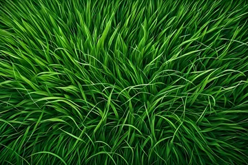 Papier Peint photo Herbe green grass background