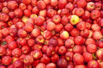 Naklejka na ściany i meble fruit background of fresh gala apples