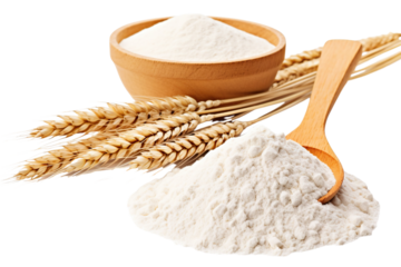 Whole grain wheat flour and ears isolated on white PNG
