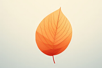 Single Autumn Leaf
