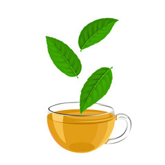 Vector illustration, cup of tea with leaves of Ilex guayusa, known as
guayusa, isolated on white background.