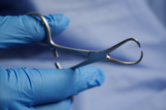 Doctor wearing blue medical gloves holding Surgical Cloth Pincers. Towel clamps are mounting clamps with a pointed end to hold the ends of the towel or doek in place.