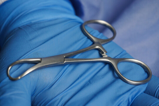 Doctor wearing blue medical gloves holding Surgical Cloth Pincers. Towel clamps are mounting clamps with a pointed end to hold the ends of the towel or doek in place.